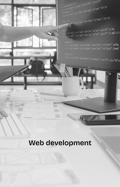 Web development